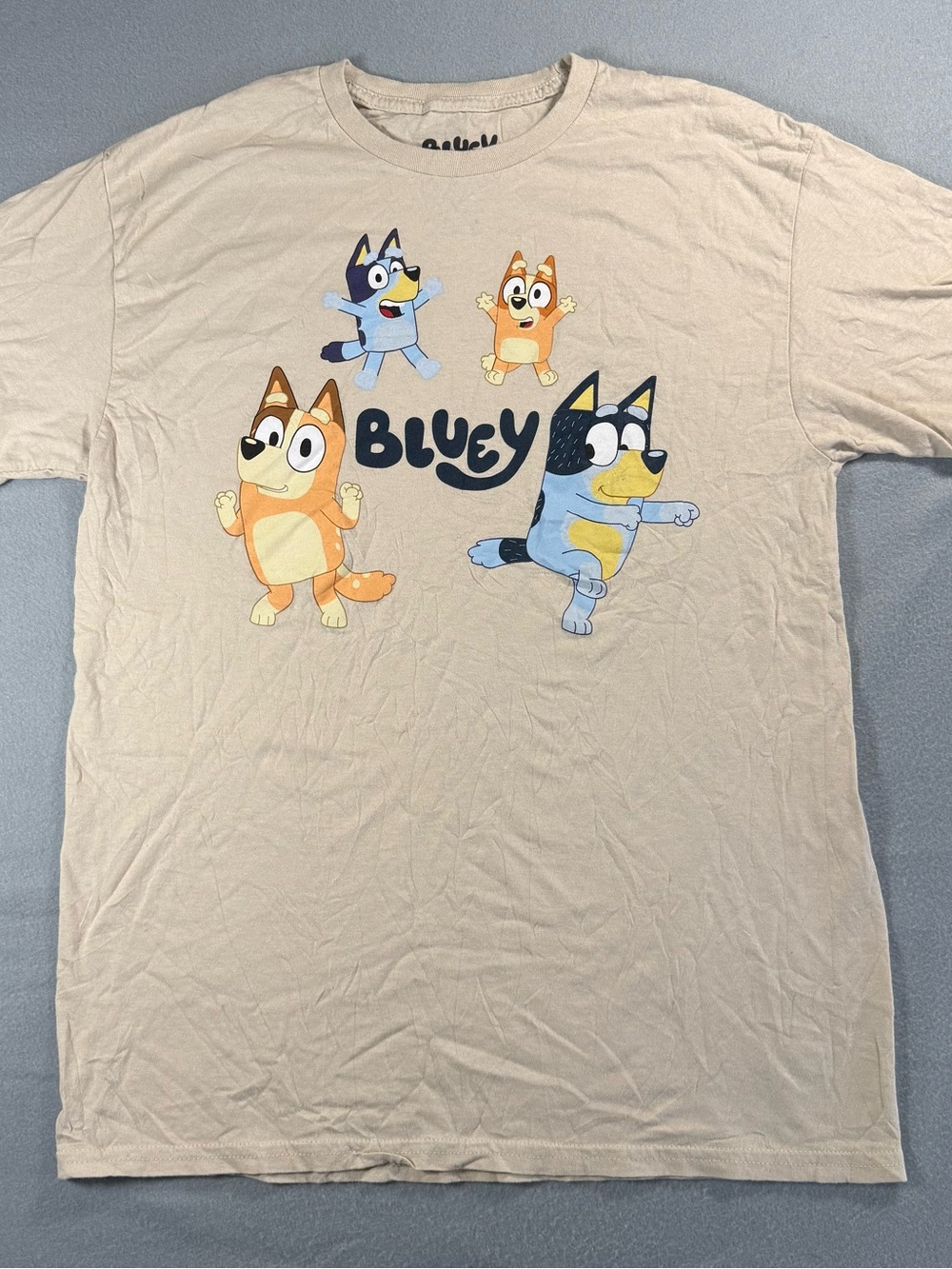 Bluey Family T-Shirt, Adult M